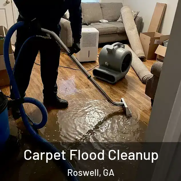 Carpet Flood Cleanup Roswell, GA
