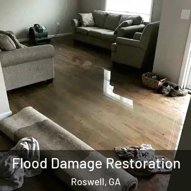  Flood Damage Restoration Roswell, GA