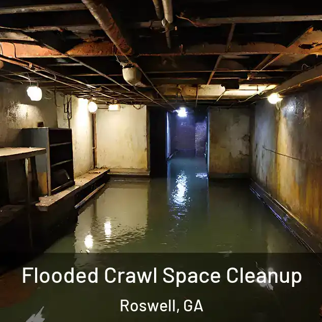  Flooded Crawl Space Cleanup Roswell, GA