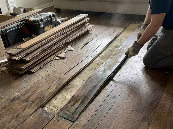 Water Damage Drying in Roswell