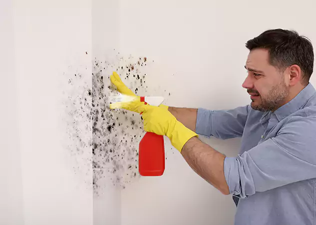 Your Water Mold Fire Restoration Partner in Roswell, GA