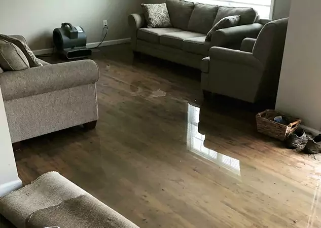Your Trusted Restoration Company in Roswell, GA