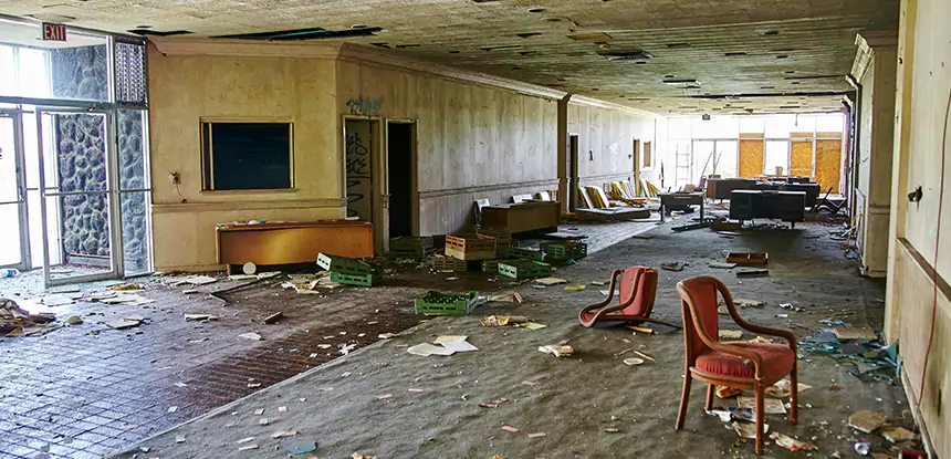 Professional Water Mold Removal Services in Roswell, GA