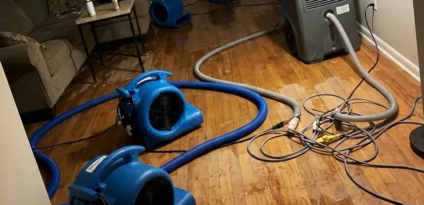 Basement Flood Restoration Services in Roswell