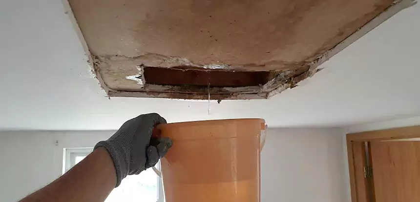 Ceiling Mold Repair Roswell 