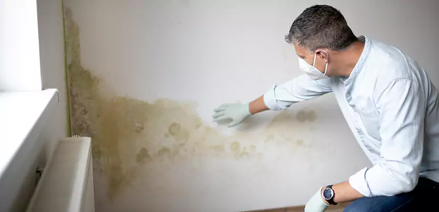 Mold and Water Damage Repair in Roswell