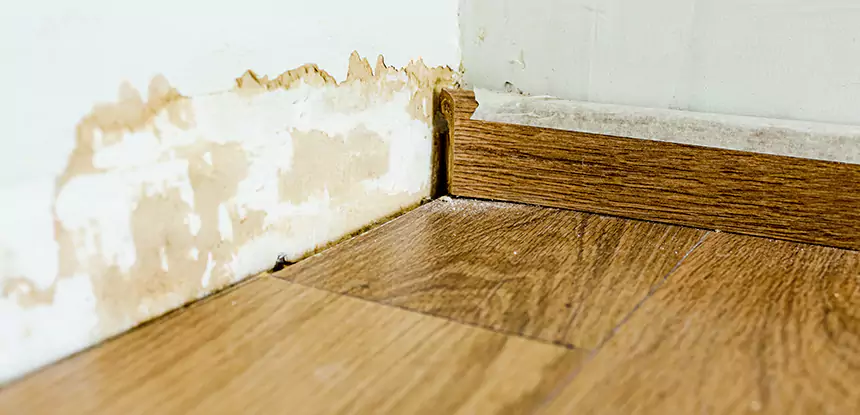 Professional Fix Water Damaged Wood Services in Roswell, GA