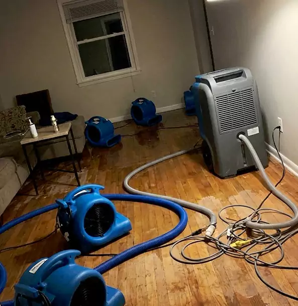 Why Roswell Calls Roswell Restoration Pro First for Emergency Restoration?