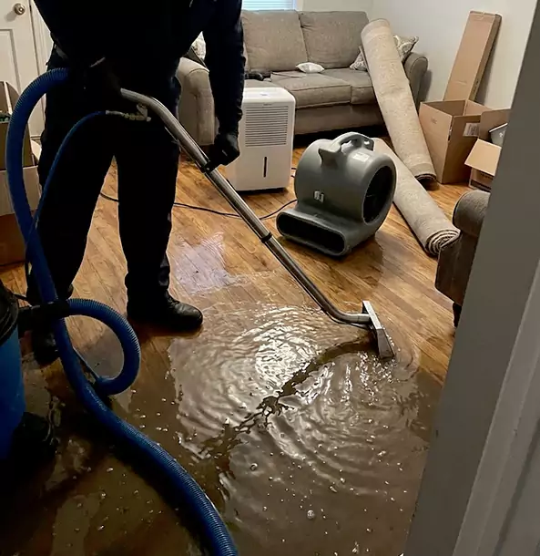 Why Roswell Trusts Roswell Restoration Pro for Flood Cleanup?