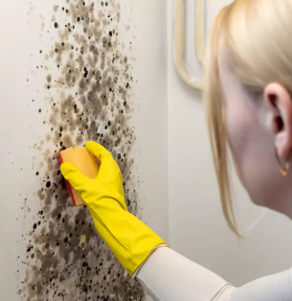 Why Roswell Restoration Pro Leads Mold Remediation in Roswell?