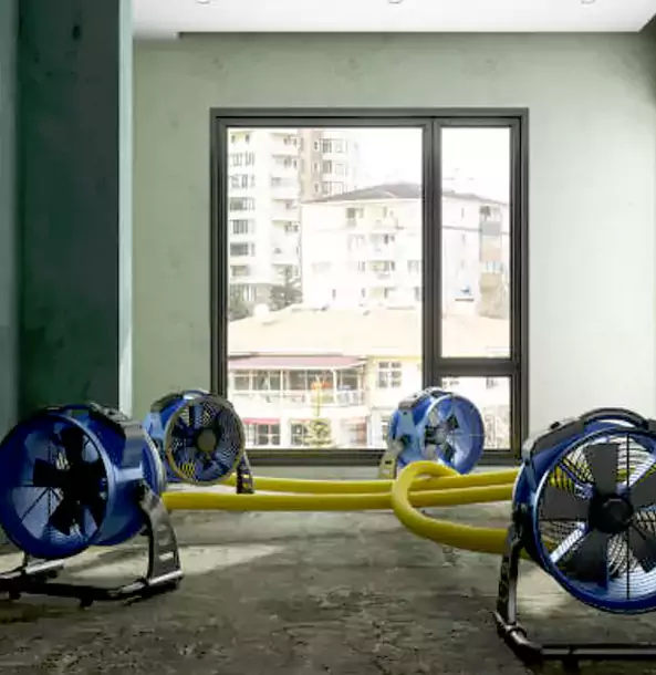 Why Roswell Property Owners Trust Roswell Restoration Pro for Water Damage Drying?