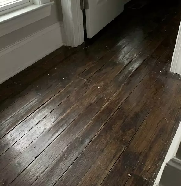 Why Roswell Homeowners Trust Roswell Restoration Pro to Fix Water Damaged Wood?
