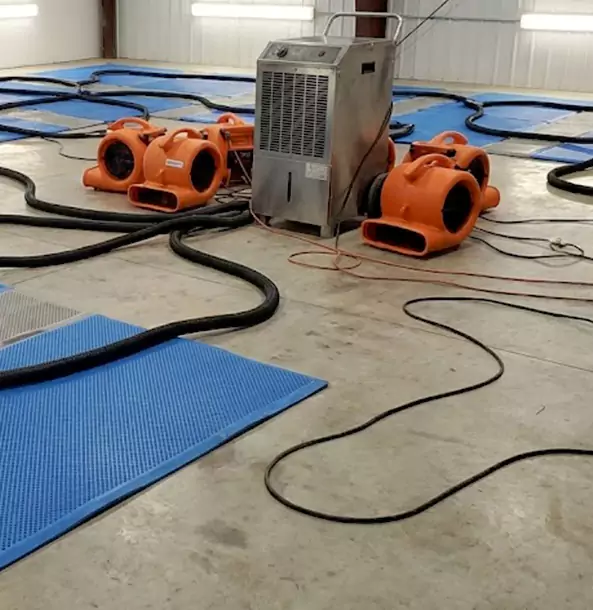 Why Roswell Homeowners and Businesses Choose Roswell Restoration Pro for Wet Carpet Removal?