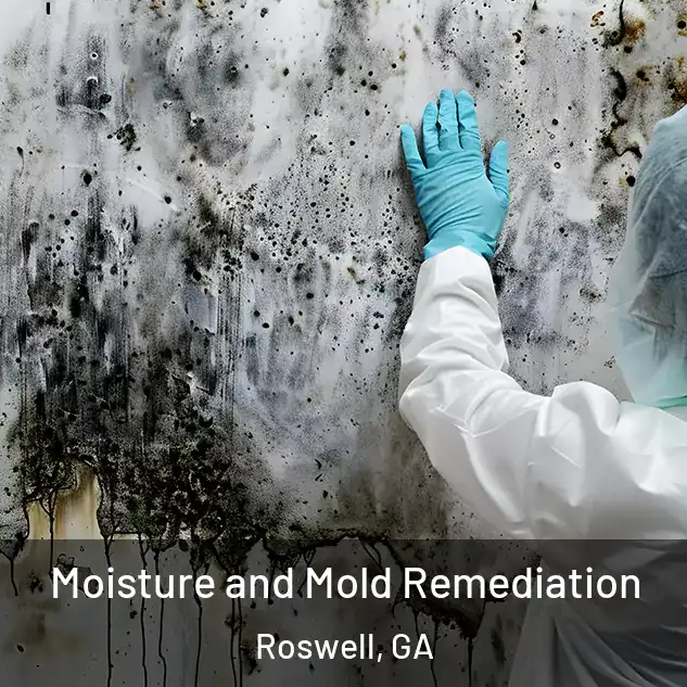  Moisture and Mold Remediation Roswell, GA