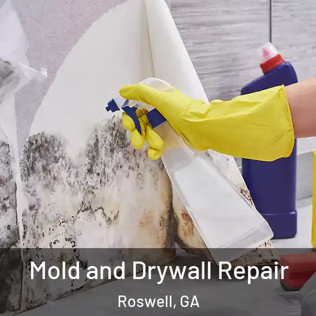  Mold and Drywall Repair Roswell, GA