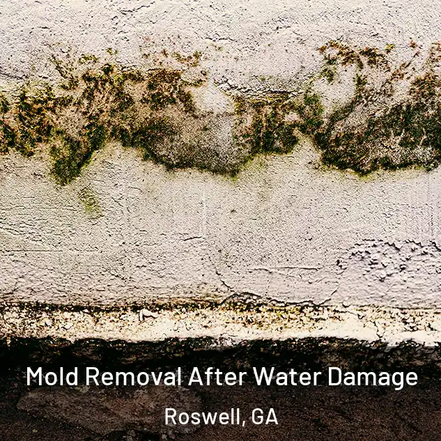  Mold Removal After Water Damage Roswell, GA