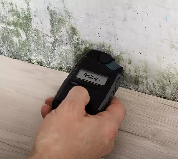 Mold Remediation Service Roswell