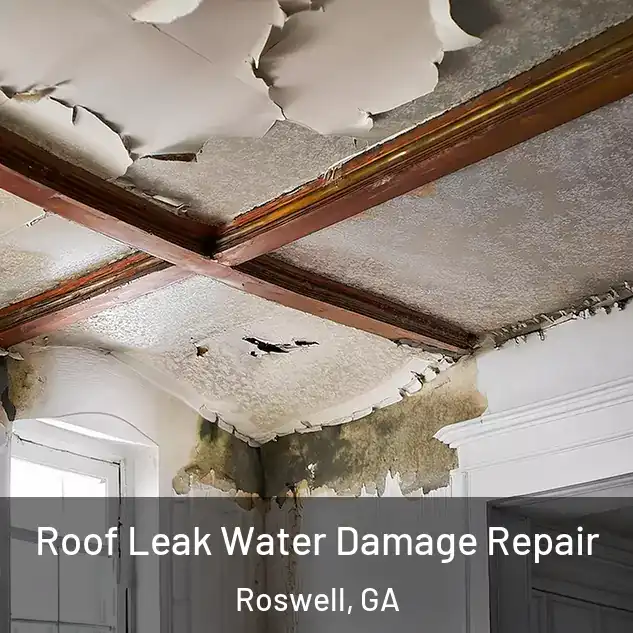  Roof Leak Water Damage Repair Roswell, GA