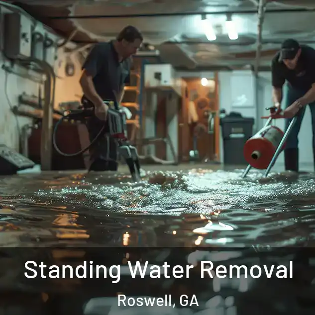  Standing Water Removal Roswell, GA