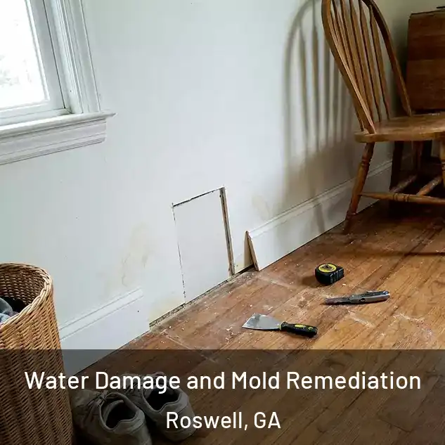  Water Damage and Mold Remediation Roswell, GA