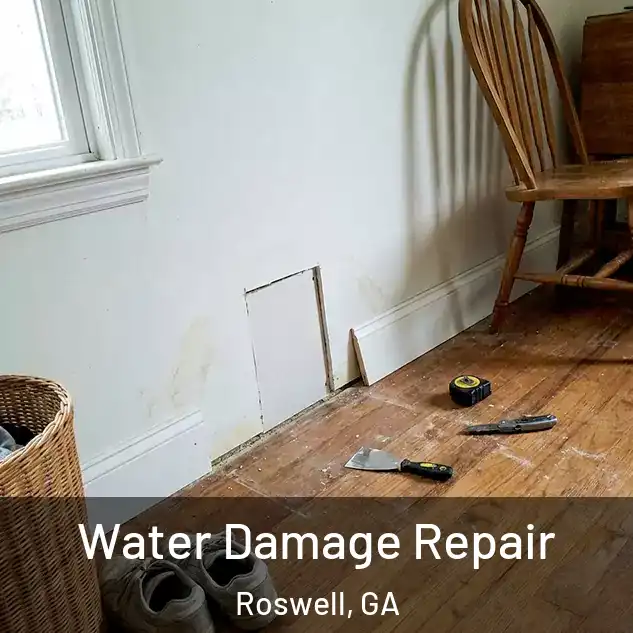  Water Damage Repair Roswell, GA