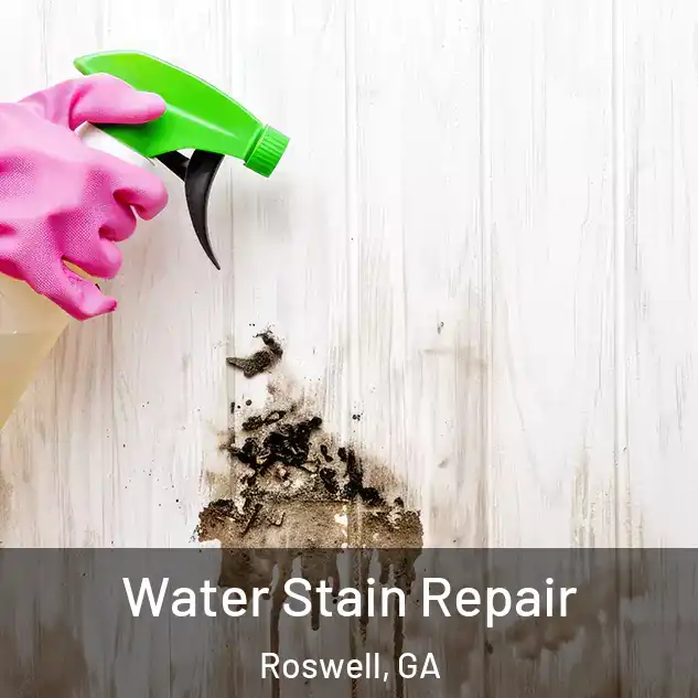  Water Stain Repair Roswell, GA