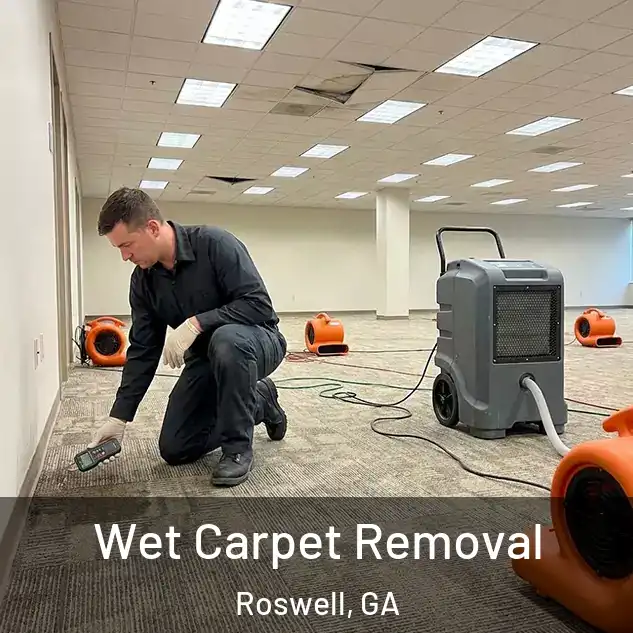  Wet Carpet Removal Roswell, GA